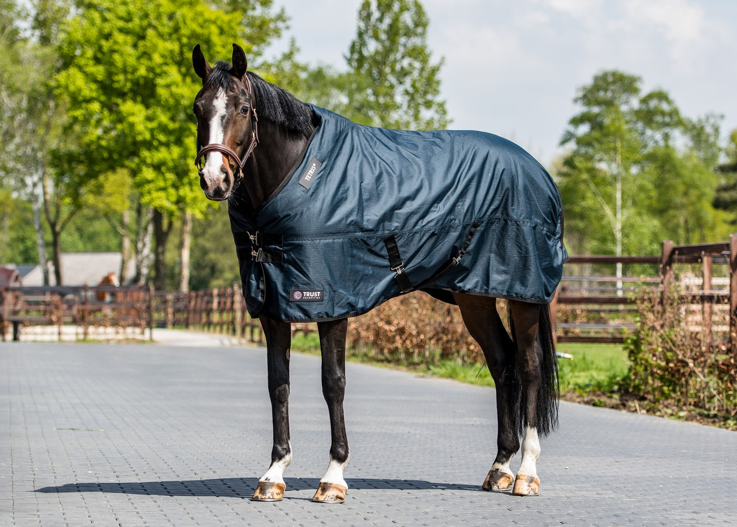 Trust TETRIS Outdoor-Teppich 300 g Navy