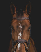 Equiline Hoofdstel Anatomisch smal gecombineerde neusriem