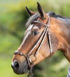 HFI German Hoofdstel met Lage Neusriem Bruin