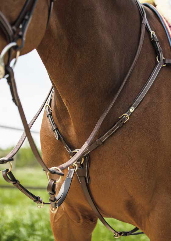 Collier de Chasse HFI Long Bridge avec Martingale
