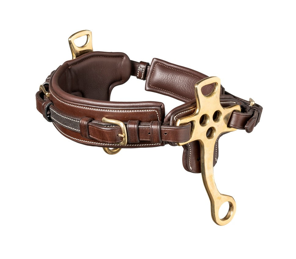 TRUST Hackamore Goldschnallen Braun