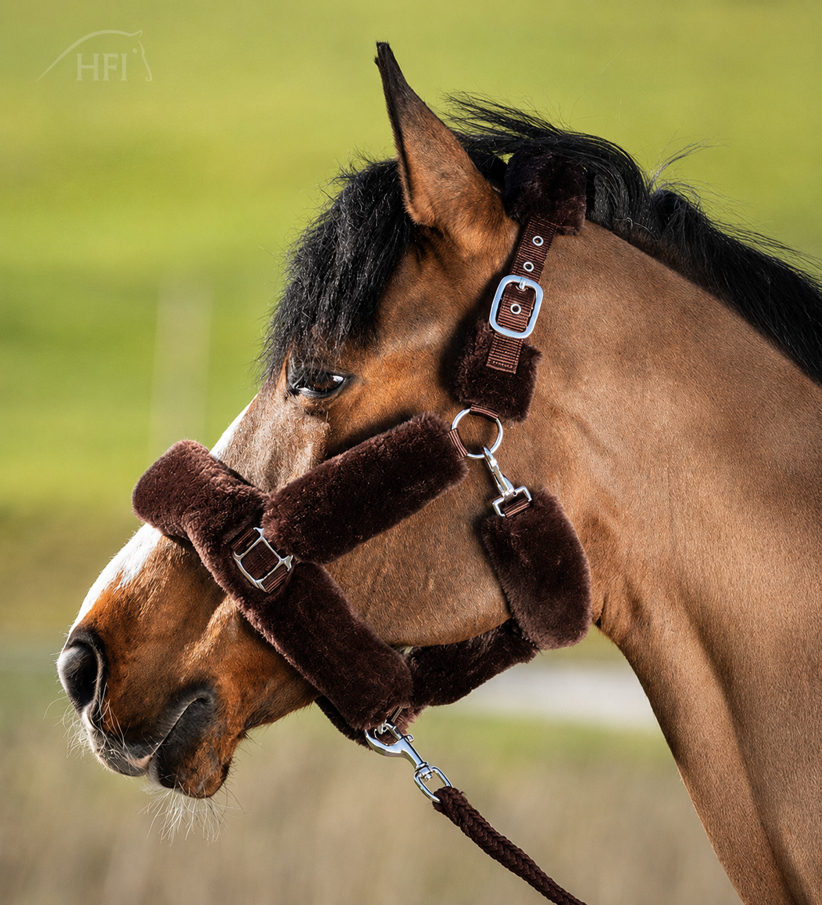 HFI Halster Cosy Bruin full