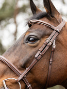 TRUST hoofdstel Hunter Kentucky zilveren gesp Bruin