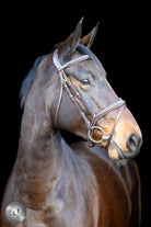 LJ Leathers Pro Selected hoofdstel gecombineerde neusriem Heritage Bruin