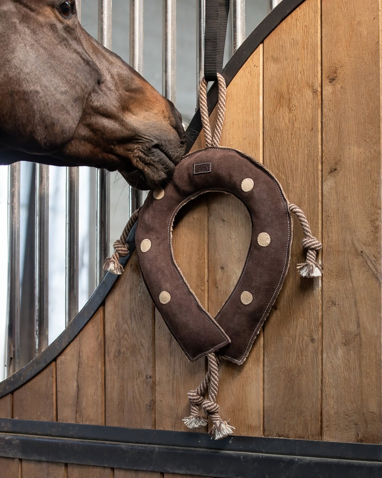 Jouet pour Cheval HFI Horseshoe