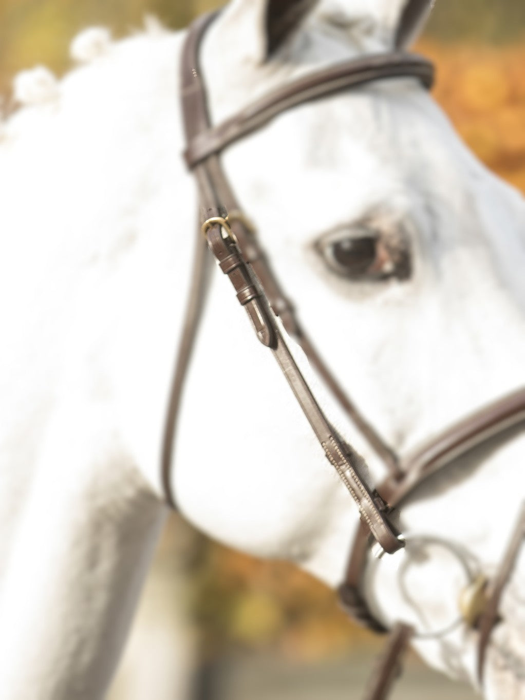 LJ Leathers New Pro Bakstukken Zilver kleurig