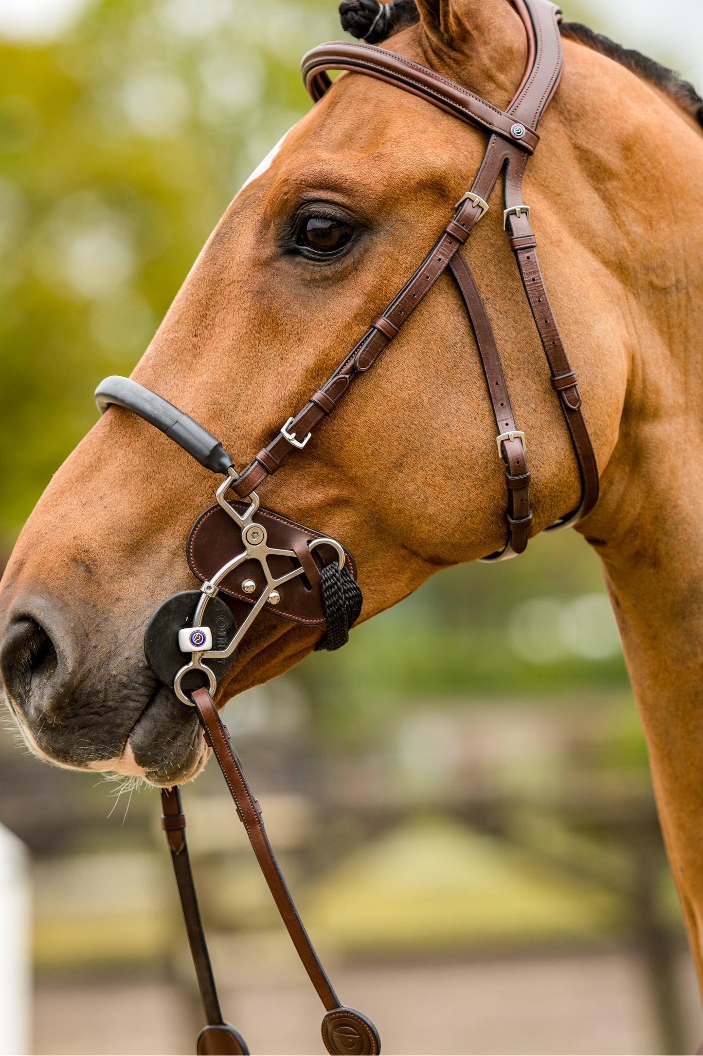 Trust Hackamore Protektor