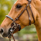 TRUST Trense Hickstead Hackamore Zaum silberne Schnallen Braun
