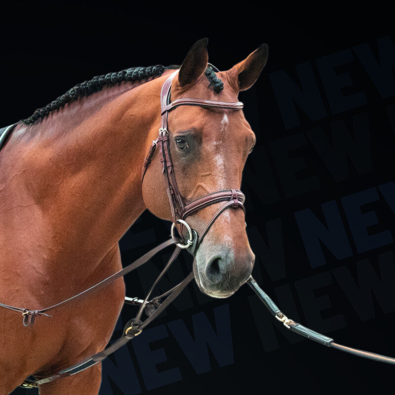 LJ Leathers Magic Longe by Symons Longeerhulpteugel