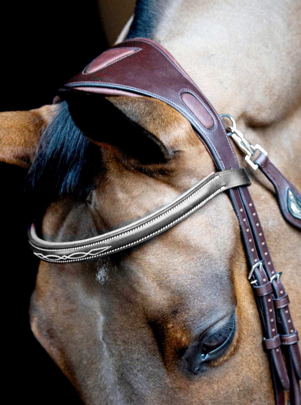 Equiline Anatomisch kopstuk