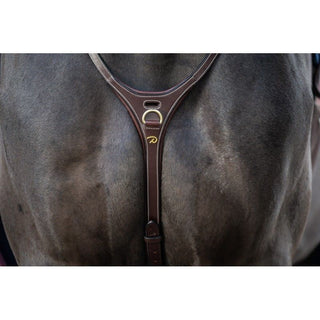 Dyon D Collection Martingal Yoke Braun