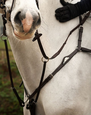 Equiline Vorderzeug Schwarz