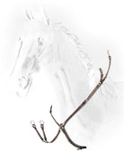 Equiline Borsttuig met brug bruin Bruin