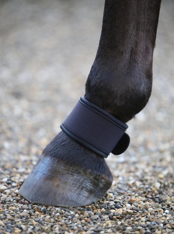 Kentucky Horsewear kootbeschermers zwart