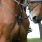 LJ Leathers New Pro voortuig met elastiek - equi-exclusive