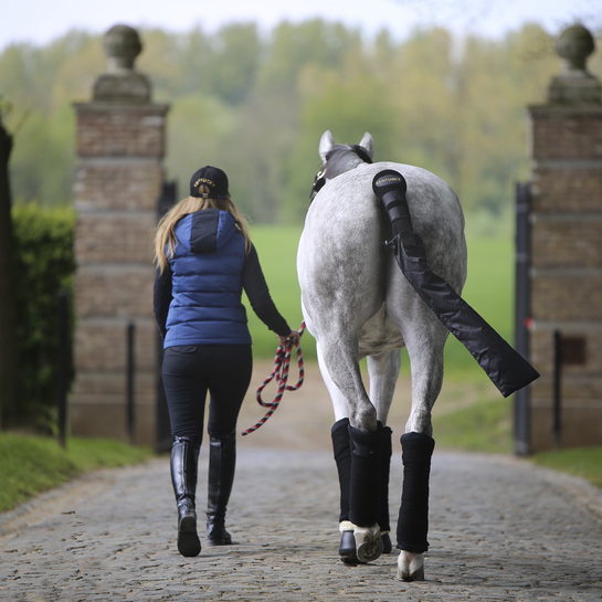 Kentucky Horsewear Polobandagen Wolle set of 4 Navy