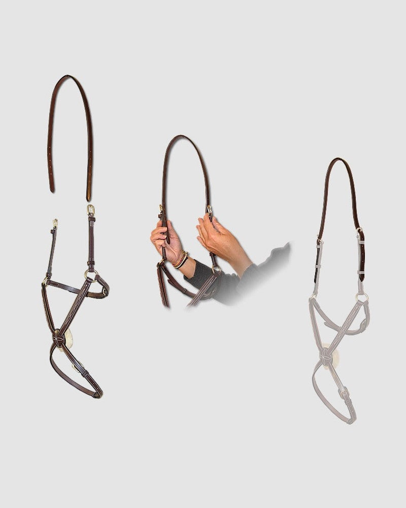 Dyon D Collection neusriem adapter bruin