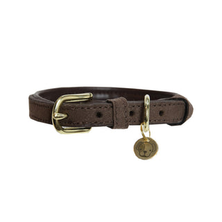 Kentucky Hundehalsband Velvet