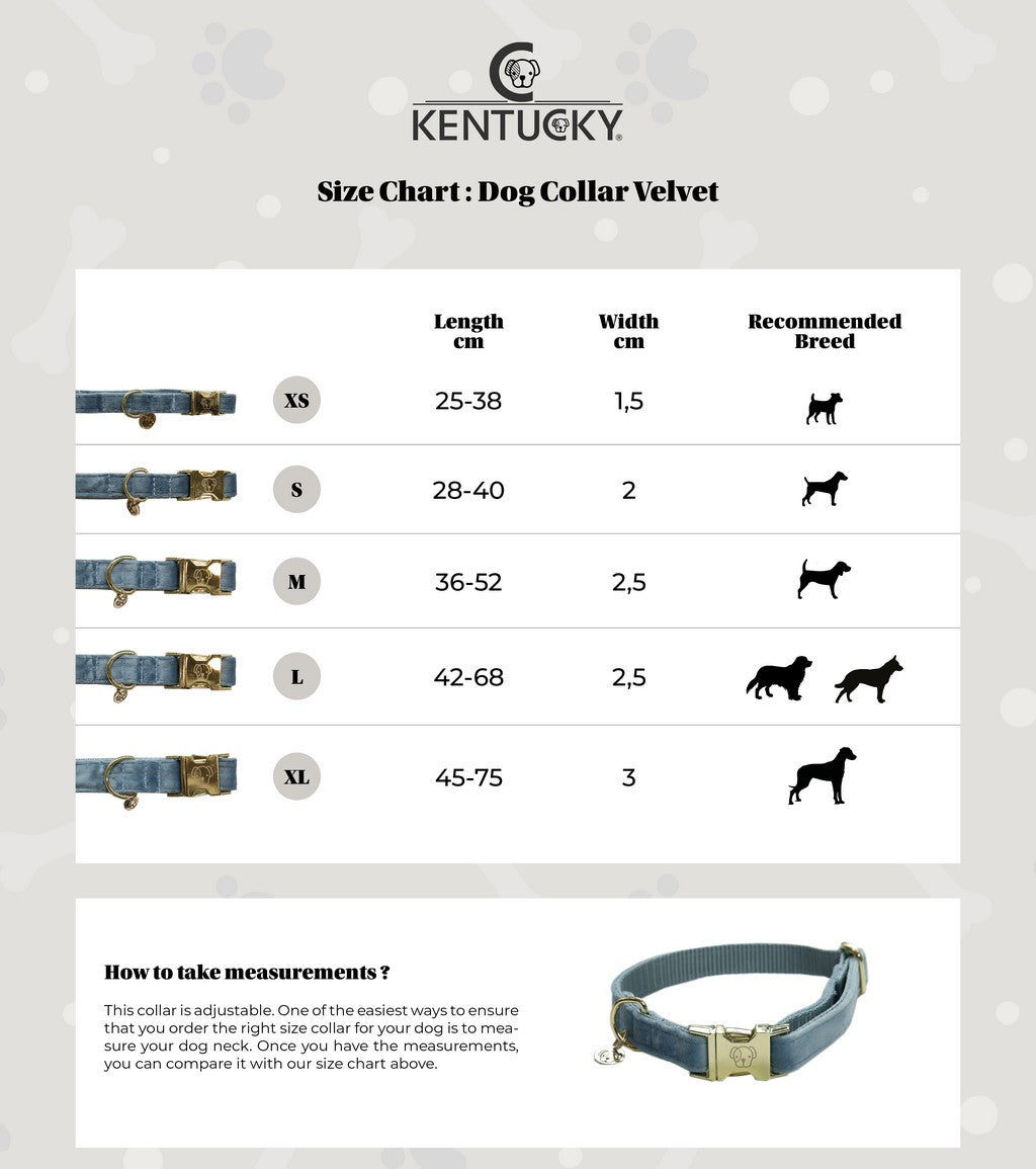 Kentucky Dogwear Hundehalsband Velvet