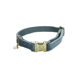 Kentucky Dogwear Hundehalsband Velvet