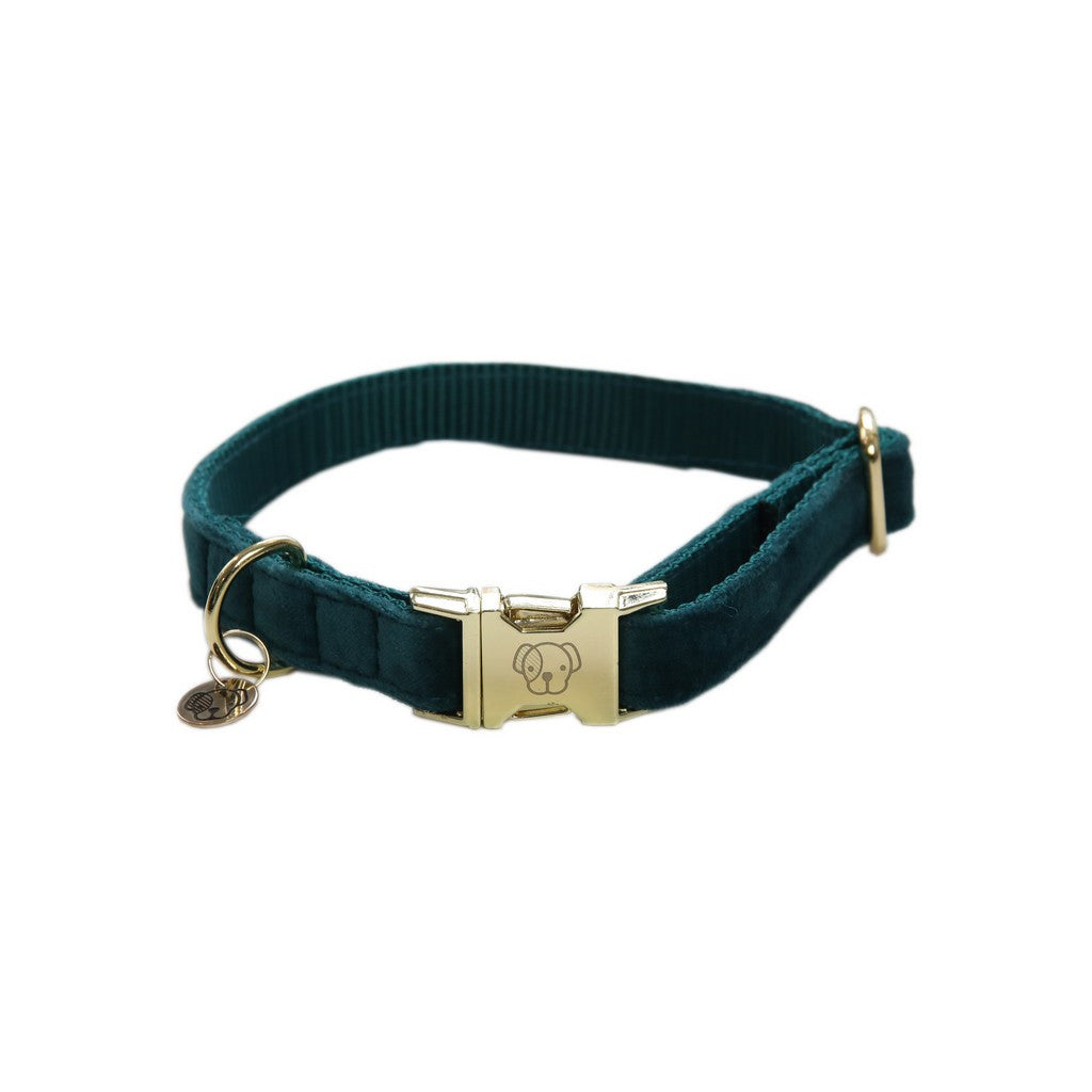 Kentucky Dogwear Hundehalsband Velvet