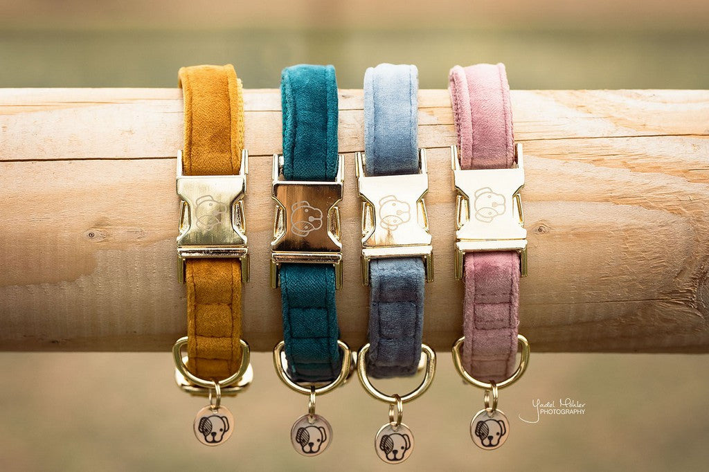 Kentucky Dogwear Hundehalsband Velvet