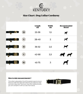 Kentucky Dogwear Hundehalsband Corduroy