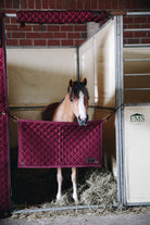 Kentucky Horsewear hoofdbeschermer bordeaux