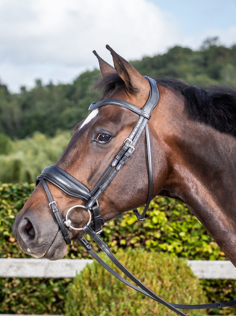 Dyon Dressage Trense Mit Breitem Schwedisch-Kombiniertem Reithalfter Schwarz